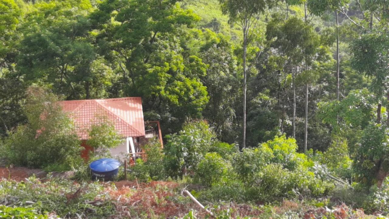 Pousada Sitio Rusticu'S Domingos Martins Exterior photo